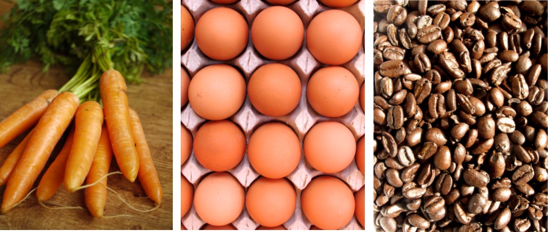 carrot,egg,coffee bean