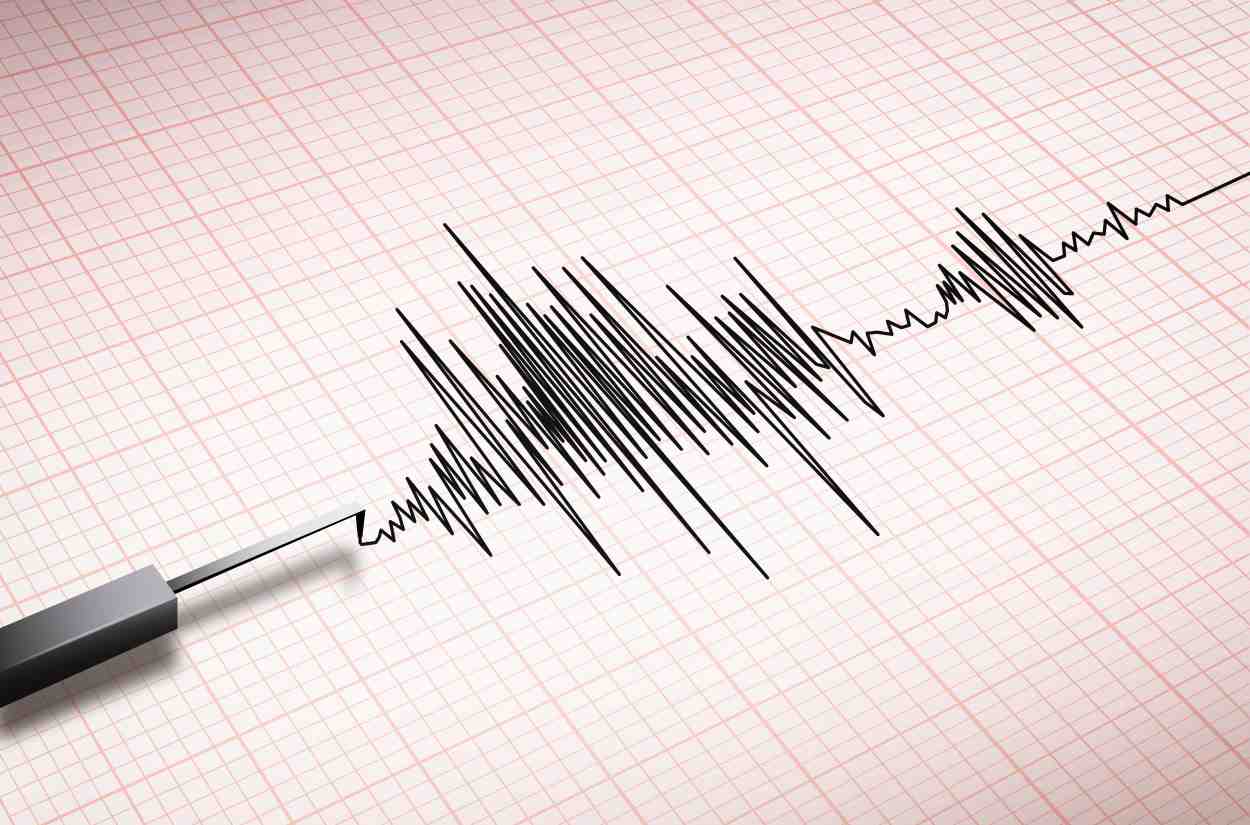 seismogram