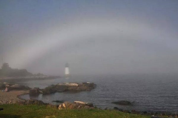 Fogbow